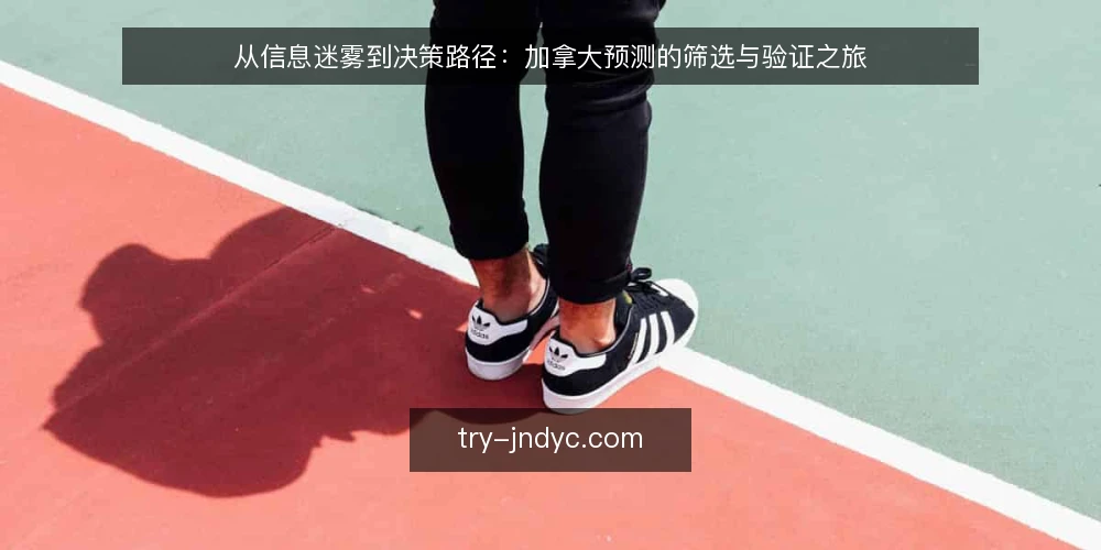 从信息迷雾到决策路径：加拿大预测的筛选与验证之旅 — 信息过载的日常困境 配图