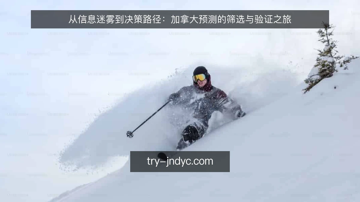 从信息迷雾到决策路径:加拿大预测的筛选与验证之旅