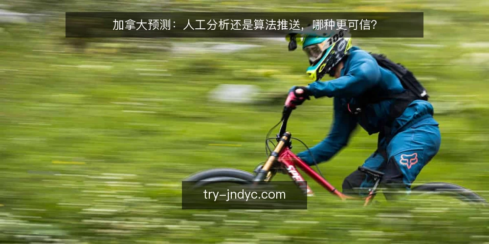 加拿大预测:人工分析还是算法推送,哪种更可信? — 决策标准:可信度、时效与成本 配图