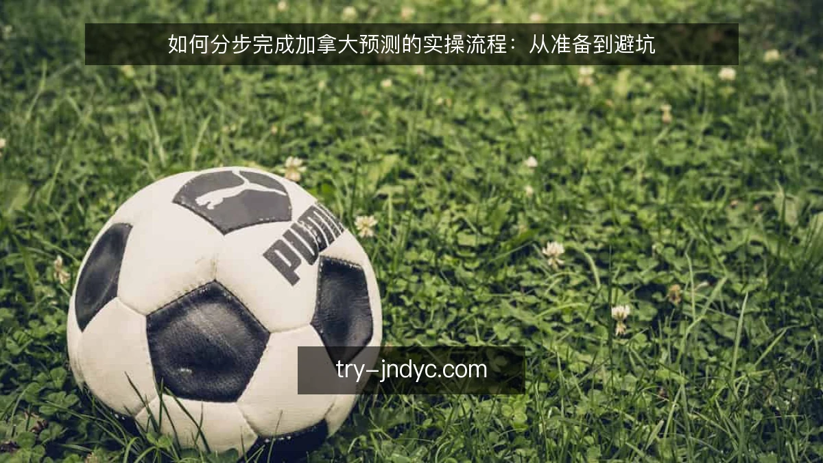 如何分步完成加拿大预测的实操流程：从准备到避坑