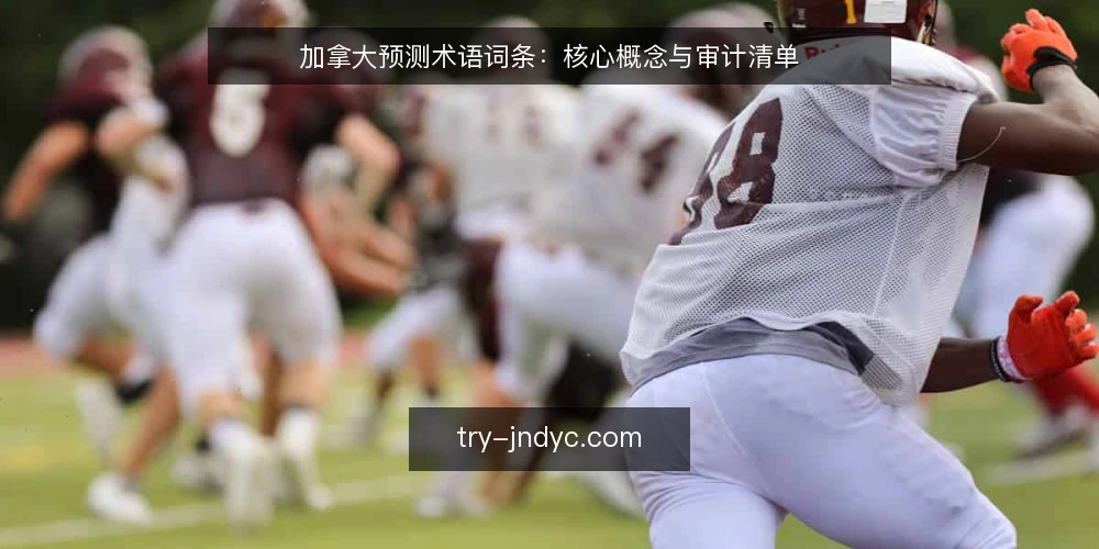 加拿大预测术语词条:核心概念与审计清单 — 为什么现在要审计术语 配图
