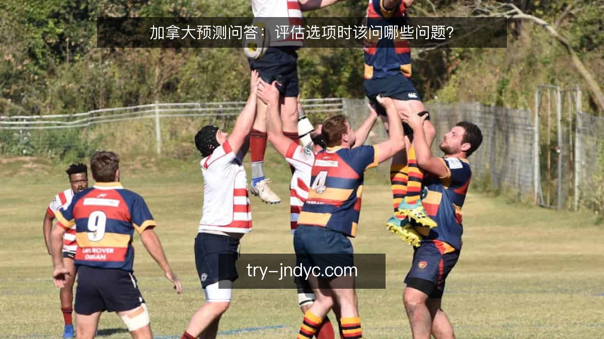 加拿大预测问答：评估选项时该问哪些问题？