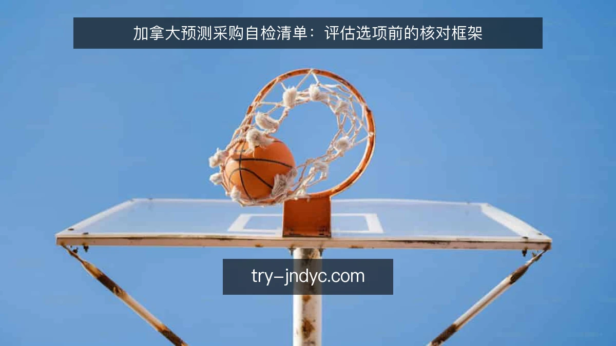 加拿大预测采购自检清单：评估选项前的核对框架
